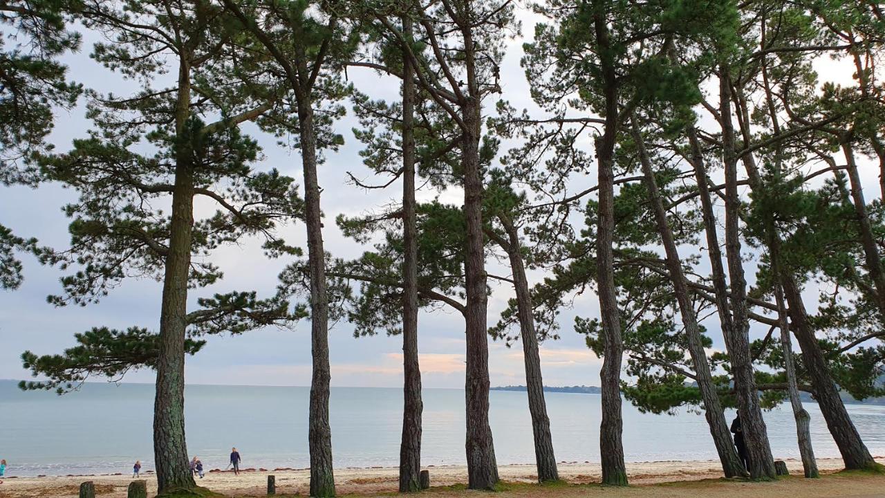 Vacances O Cap Coz - Jardin Vue Mer Et Piscine - Residence Cap Azur Fouesnant Buitenkant foto