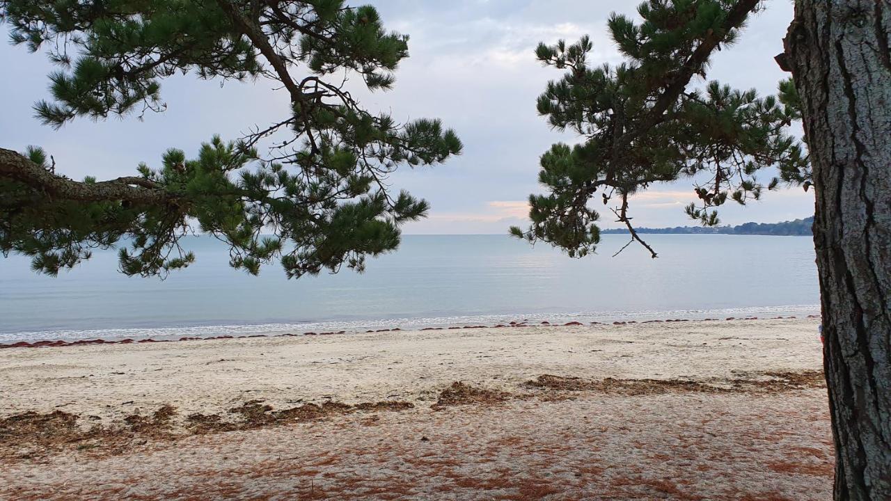 Vacances O Cap Coz - Jardin Vue Mer Et Piscine - Residence Cap Azur Fouesnant Buitenkant foto
